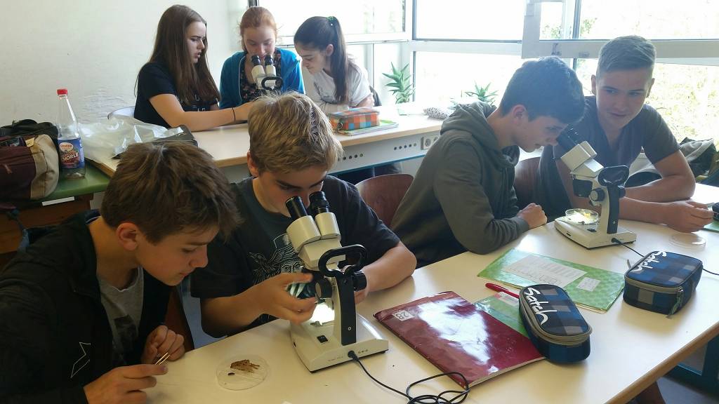 k20180418 115730 resized