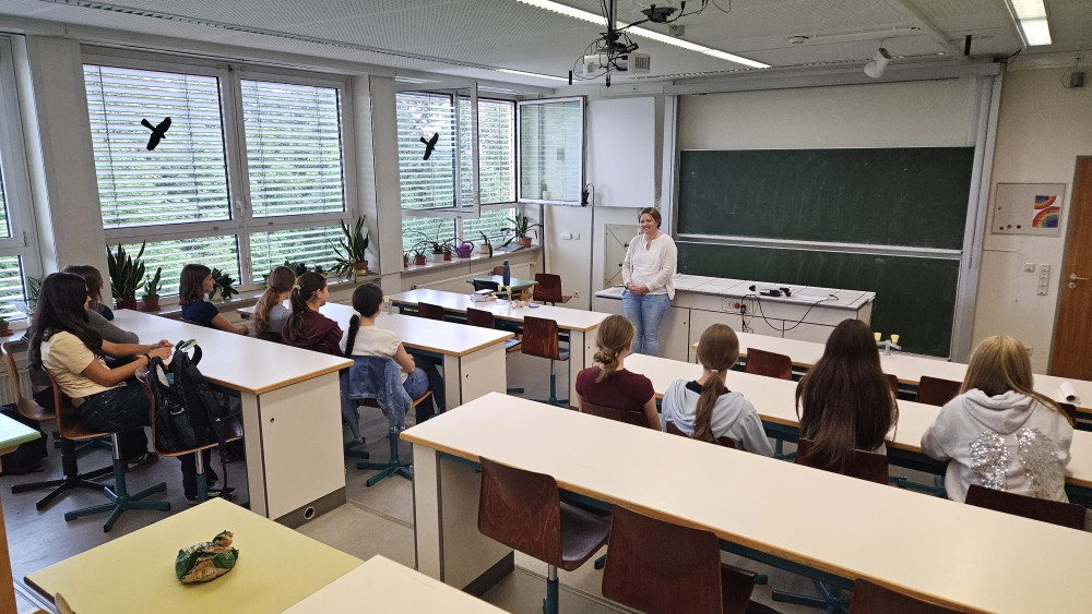 Bild1