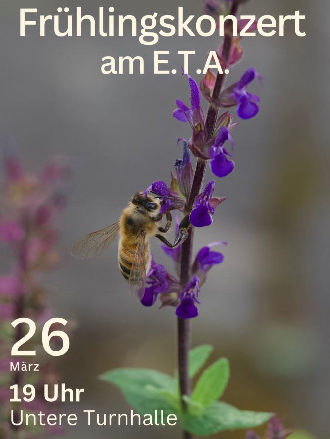 Fruehlingskonzert 26